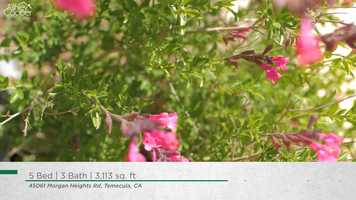 Free download The Ashley Cooper Team- 45061 Morgan Heights Road, Temecula video and edit with RedcoolMedia movie maker MovieStudio video editor online and AudioStudio audio editor onlin