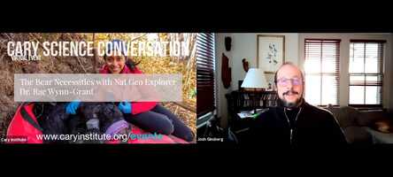 Free download The Bear Necessities with Nat Geo Explorer Dr. Rae Wynn-Grant video and edit with RedcoolMedia movie maker MovieStudio video editor online and AudioStudio audio editor onlin