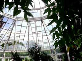 Free download The Beatles- Rain video and edit with RedcoolMedia movie maker MovieStudio video editor online and AudioStudio audio editor onlin