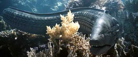 Free download THE BEAUTY (Trailer) / Winner 1st prize Classical Category / Other Formats 2019 video and edit with RedcoolMedia movie maker MovieStudio video editor online and AudioStudio audio editor onlin