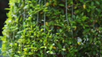 Free download The Berkeley Hotel | Pool - And drinks video and edit with RedcoolMedia movie maker MovieStudio video editor online and AudioStudio audio editor onlin