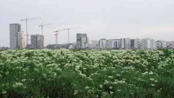 Free download The best city is no city at all (Teaser) video and edit with RedcoolMedia movie maker MovieStudio video editor online and AudioStudio audio editor onlin