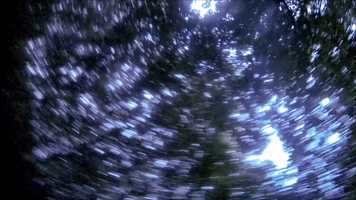 Free download the Bio Bay of Puerto Rico video and edit with RedcoolMedia movie maker MovieStudio video editor online and AudioStudio audio editor onlin