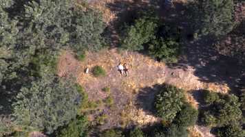 Free download THE BIRDS ARE WATCHING video and edit with RedcoolMedia movie maker MovieStudio video editor online and AudioStudio audio editor onlin