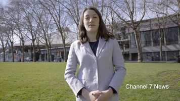 Free download The Blair Mitch Project video and edit with RedcoolMedia movie maker MovieStudio video editor online and AudioStudio audio editor onlin