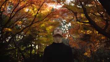 Free download The BnA Story (Directors Cut) video and edit with RedcoolMedia movie maker MovieStudio video editor online and AudioStudio audio editor onlin