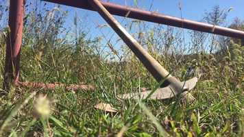 Free download The Canal Title Credits video and edit with RedcoolMedia movie maker MovieStudio video editor online and AudioStudio audio editor onlin