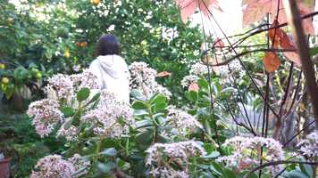 Free download the centre of your longing? video and edit with RedcoolMedia movie maker MovieStudio video editor online and AudioStudio audio editor onlin