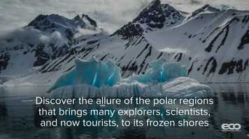 Free download The Challenges of Polar Science video and edit with RedcoolMedia movie maker MovieStudio video editor online and AudioStudio audio editor onlin