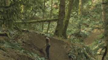 Free download The Cody Wilkins MTB Files: S19 video and edit with RedcoolMedia movie maker MovieStudio video editor online and AudioStudio audio editor onlin