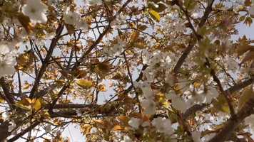 Free download The Colours Of My Street.mp4 video and edit with RedcoolMedia movie maker MovieStudio video editor online and AudioStudio audio editor onlin