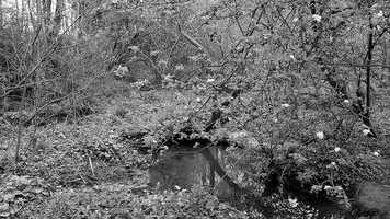 Free download The Dam video and edit with RedcoolMedia movie maker MovieStudio video editor online and AudioStudio audio editor onlin