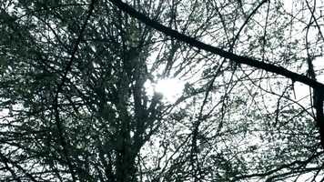 Free download The details video and edit with RedcoolMedia movie maker MovieStudio video editor online and AudioStudio audio editor onlin