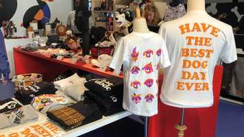 Free download The Dodos Best Dog Day Ever video and edit with RedcoolMedia movie maker MovieStudio video editor online and AudioStudio audio editor onlin