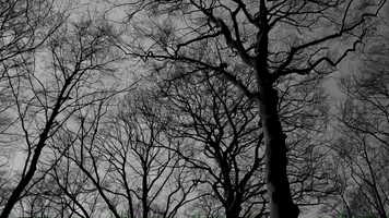 Free download The end of the war (short art film) video and edit with RedcoolMedia movie maker MovieStudio video editor online and AudioStudio audio editor onlin