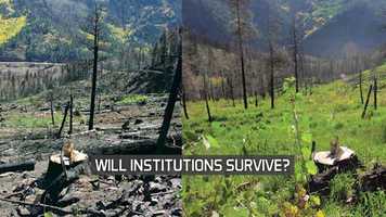 Free download The Entity: Climate Change 2647 by David A. Collier video and edit with RedcoolMedia movie maker MovieStudio video editor online and AudioStudio audio editor onlin