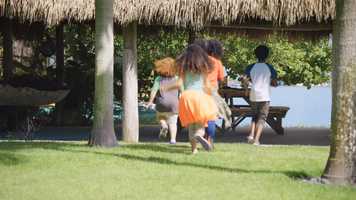 Free download The Envirokidz Episode 2: Sea Turtles video and edit with RedcoolMedia movie maker MovieStudio video editor online and AudioStudio audio editor onlin