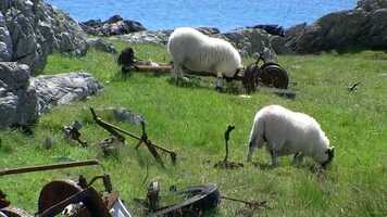 Free download The Essential Saltes video and edit with RedcoolMedia movie maker MovieStudio video editor online and AudioStudio audio editor onlin