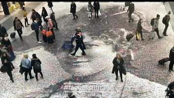 Free download The Face of Suffrage | Thank You | 2018 video and edit with RedcoolMedia movie maker MovieStudio video editor online and AudioStudio audio editor onlin