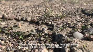 Free download the FACTORY video and edit with RedcoolMedia movie maker MovieStudio video editor online and AudioStudio audio editor onlin