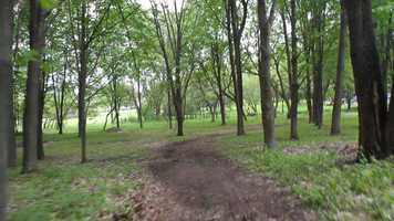 Free download The Family Tree trailer - 1 minute OPTION B video and edit with RedcoolMedia movie maker MovieStudio video editor online and AudioStudio audio editor onlin