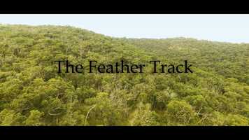 Free download The Feather Track (Short Film) video and edit with RedcoolMedia movie maker MovieStudio video editor online and AudioStudio audio editor onlin