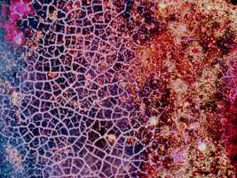 Free download The Flickering of the Minds Eye : Excerpt (2001) video and edit with RedcoolMedia movie maker MovieStudio video editor online and AudioStudio audio editor onlin