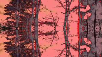 Free download The flying steering wheel video and edit with RedcoolMedia movie maker MovieStudio video editor online and AudioStudio audio editor onlin