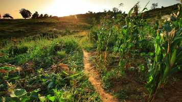 Free download The Foundation by Unity Lewis video and edit with RedcoolMedia movie maker MovieStudio video editor online and AudioStudio audio editor onlin