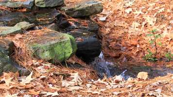 Free download The Fountain video and edit with RedcoolMedia movie maker MovieStudio video editor online and AudioStudio audio editor onlin