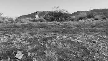 Free download THE FREEWAY video and edit with RedcoolMedia movie maker MovieStudio video editor online and AudioStudio audio editor onlin