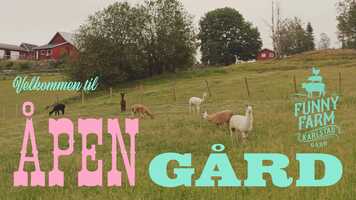 Free download The Funny Farm video and edit with RedcoolMedia movie maker MovieStudio video editor online and AudioStudio audio editor onlin