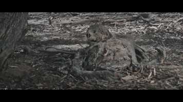 Free download THE FURIES Official Trailer (2019) Horror Movie video and edit with RedcoolMedia movie maker MovieStudio video editor online and AudioStudio audio editor onlin