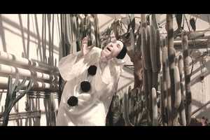 Free download the Gardener - summer (Joan Laage - Kogut Butoh) video and edit with RedcoolMedia movie maker MovieStudio video editor online and AudioStudio audio editor onlin