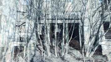 Free download The Godwits Fly video and edit with RedcoolMedia movie maker MovieStudio video editor online and AudioStudio audio editor onlin