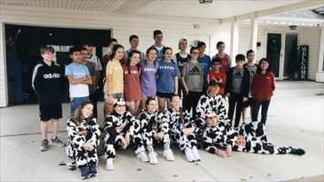 Free download The Great Cow Chase 2020 video and edit with RedcoolMedia movie maker MovieStudio video editor online and AudioStudio audio editor onlin