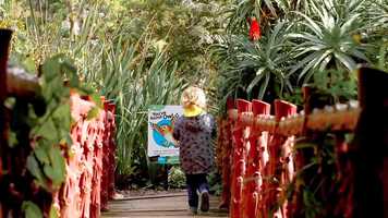 Free download The Gruffalo Trail at Rippon Lea Estate video and edit with RedcoolMedia movie maker MovieStudio video editor online and AudioStudio audio editor onlin