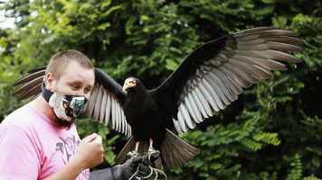 Free download The Happy Film Company - Clabeaux Family - Sebastians 6th Birthday - July 2020 video and edit with RedcoolMedia movie maker MovieStudio video editor online and AudioStudio audio editor onlin