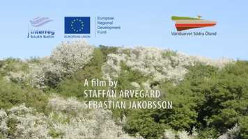 Free download The heroes of the landscape video and edit with RedcoolMedia movie maker MovieStudio video editor online and AudioStudio audio editor onlin