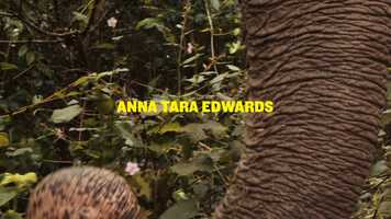 Free download The Heros Journey to the Third Pole - a Bipolar Musical Documentary with Elephants - Trailer with subtitles. video and edit with RedcoolMedia movie maker MovieStudio video editor online and AudioStudio audio editor onlin