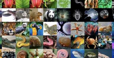 Free download The Human Operating System - How it Works video and edit with RedcoolMedia movie maker MovieStudio video editor online and AudioStudio audio editor onlin