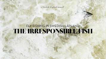 Free download THE IRRESPONSIBLE FISH video and edit with RedcoolMedia movie maker MovieStudio video editor online and AudioStudio audio editor onlin