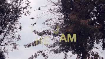 Free download THE JAM video and edit with RedcoolMedia movie maker MovieStudio video editor online and AudioStudio audio editor onlin