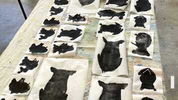 Free download The Journey for change video and edit with RedcoolMedia movie maker MovieStudio video editor online and AudioStudio audio editor onlin