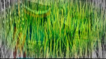 Free download The King of Doors.mp4 video and edit with RedcoolMedia movie maker MovieStudio video editor online and AudioStudio audio editor onlin