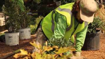 Free download The Landscape Management Apprenticeship Program video and edit with RedcoolMedia movie maker MovieStudio video editor online and AudioStudio audio editor onlin