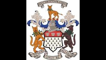 Free download THE LEOPARDS SONG video and edit with RedcoolMedia movie maker MovieStudio video editor online and AudioStudio audio editor onlin