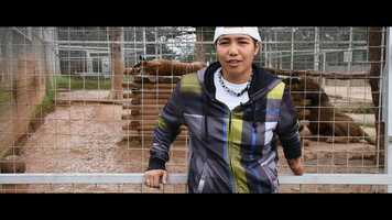 Free download The Life Exotic Official Trailer for documentary on Joe Exotic, controversial Oklahoma zoo-keeper video and edit with RedcoolMedia movie maker MovieStudio video editor online and AudioStudio audio editor onlin