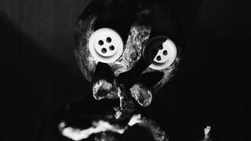 Free download The Life of a Mosquito | Amy Jones 2020 video and edit with RedcoolMedia movie maker MovieStudio video editor online and AudioStudio audio editor onlin