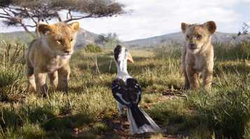 Free download The Lion King (2019) - Lighting Reel video and edit with RedcoolMedia movie maker MovieStudio video editor online and AudioStudio audio editor onlin